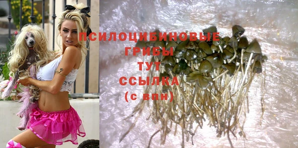 хмурый Алзамай