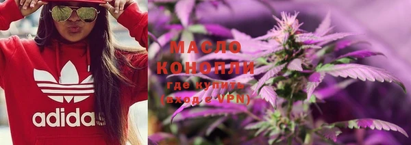 хмурый Алзамай