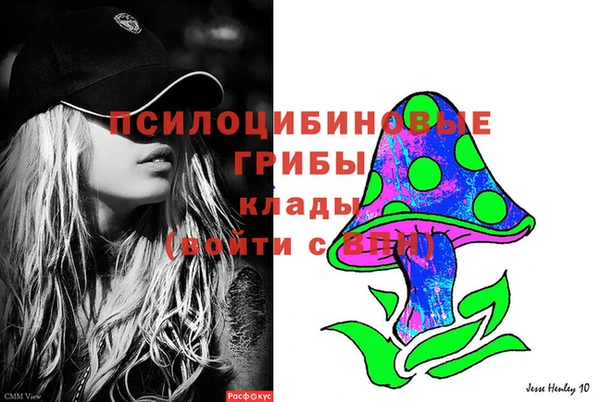 хмурый Алзамай