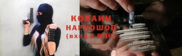 хмурый Алзамай
