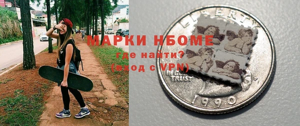 хмурый Алзамай