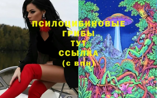 дживик Алексин