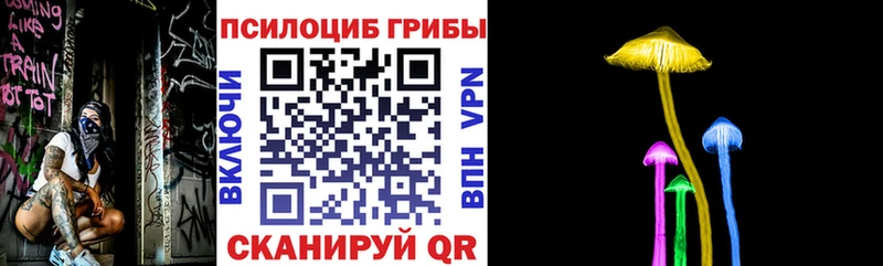 Псилоцибиновые грибы Magic Shrooms  Чадан 